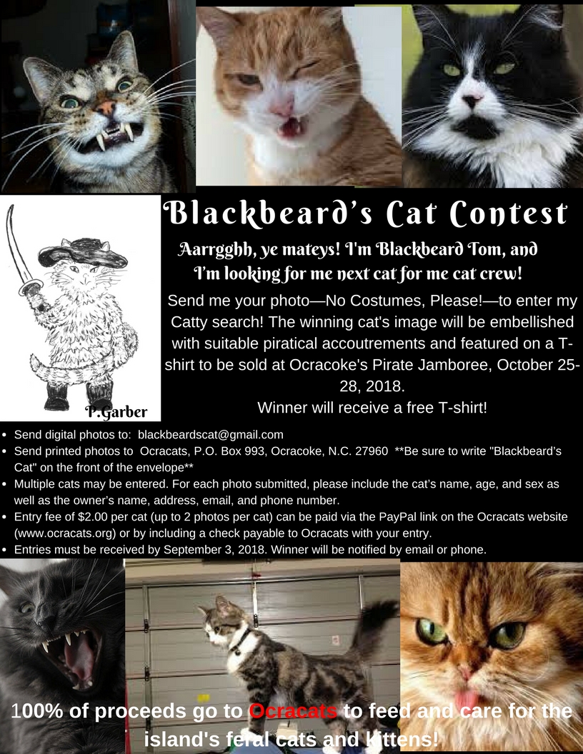 Blackbeard's Cat--limit 2