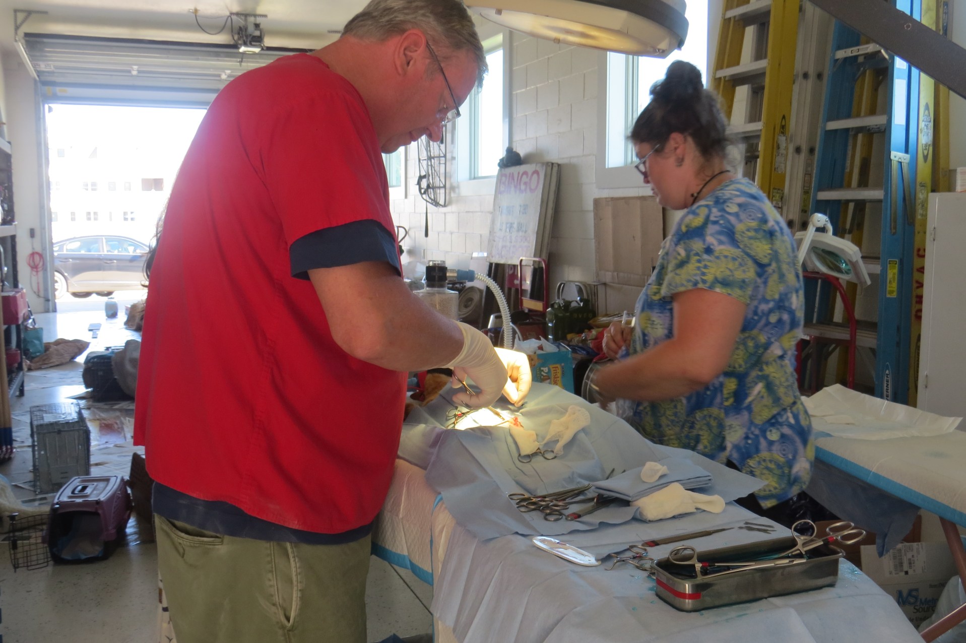 Dr. Howard Johnson, DVM, left, spays a female OcraCat. Joanna Burkett, assists. Photo by Rita Thiel 